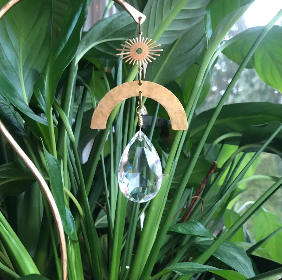 Vida + Luz
