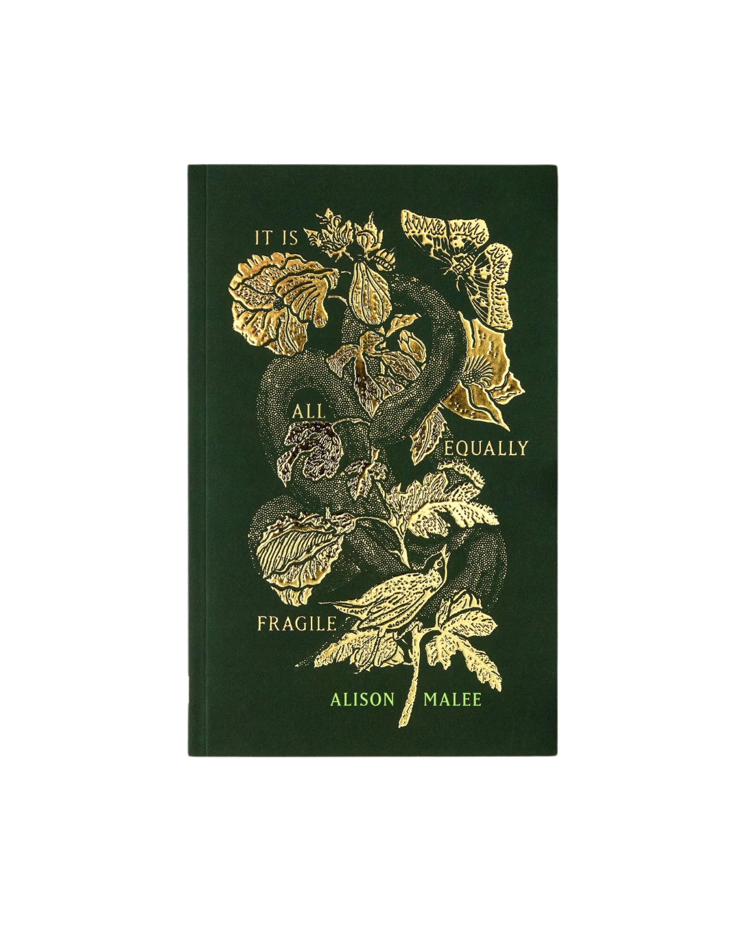 It Is All Equally Fragile - poetry book