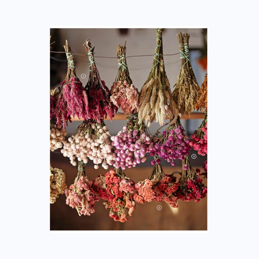 Designing with Dried Flowers