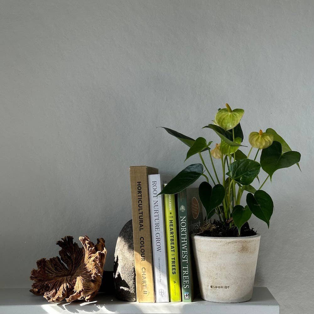 Rare Wood Flower